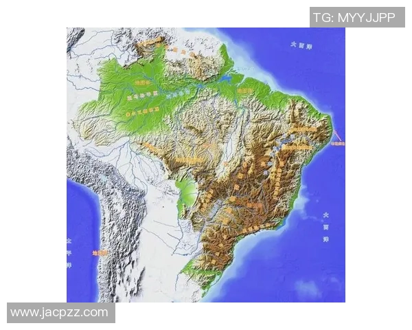 瑞士国家队足球明星的辉煌历程与成就回顾